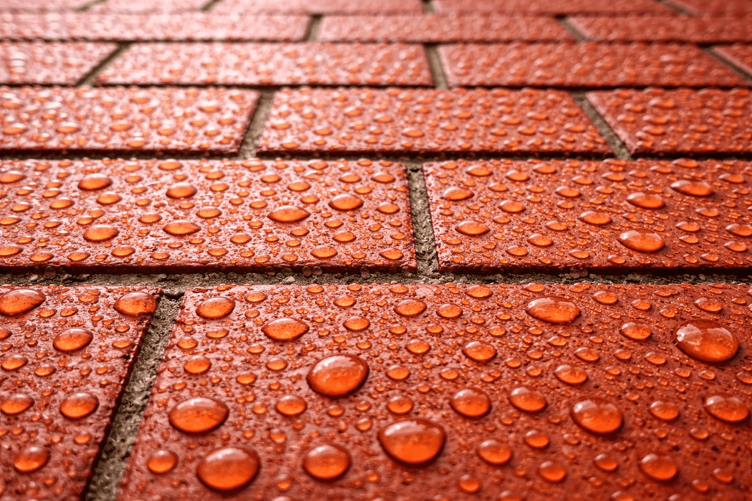 Raindrops cling to a textured red brick surface, showcasing water's interaction with the material and highlighting the ambiance of a rainy setting.